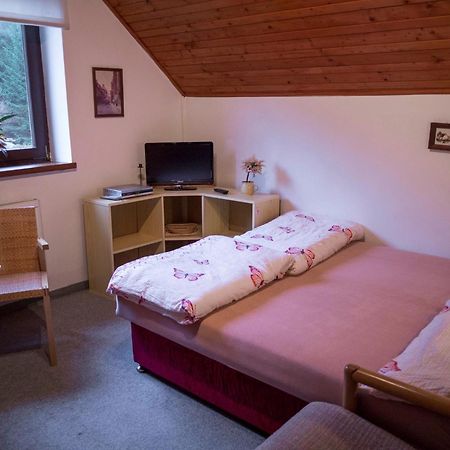 Apartment Harrachov/Riesengebirge 2400 المظهر الخارجي الصورة