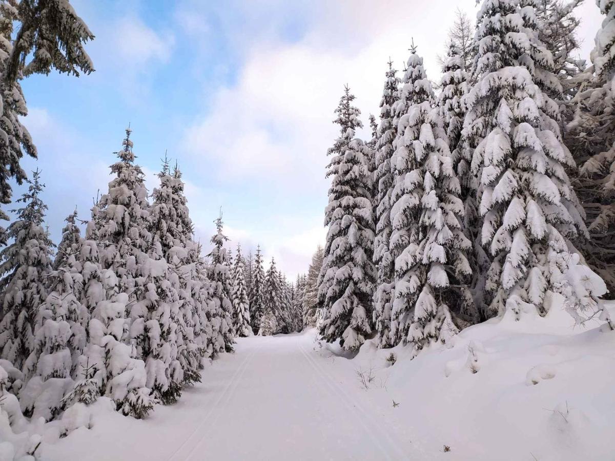 Apartment Harrachov/Riesengebirge 2400 المظهر الخارجي الصورة